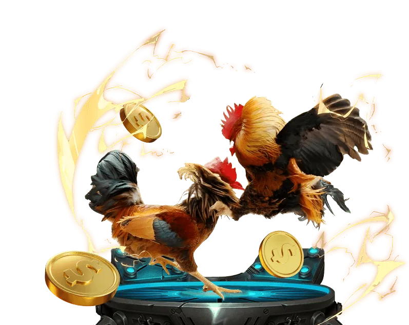 An toàn và bảo mật 55winbet